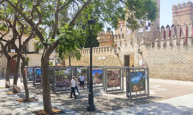 Vox felicita programas escolares como el de "Vivir y sentir el patrimonio"