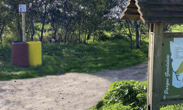 Instaladas nuevas isletas en los pinares de El Puerto para impulsar el reciclaje