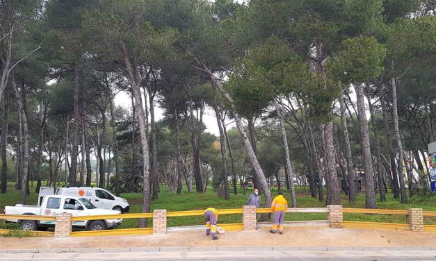 Repuesto el vallado perimetral del Pinar del Oasis dañado por un accidente de tráfico