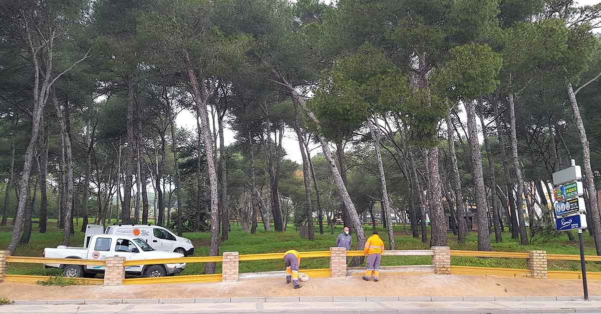 Repuesto el vallado perimetral del Pinar del Oasis dañado por un accidente de tráfico