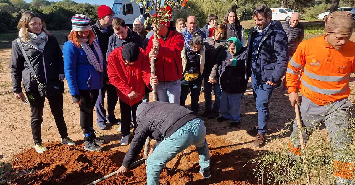 El Puerto celebra el día de la Educación Ambiental repoblando con Afanas el Pinar de Coig