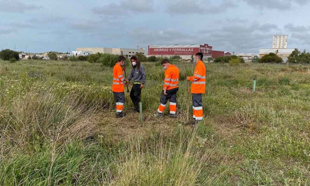 Alumnado en prácticas del IES Las Banderas aprende el cuidado de especies autóctonas en el Parque Guadalete