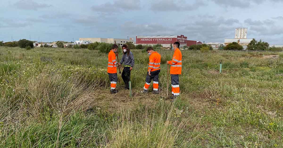 Alumnado en prácticas del IES Las Banderas aprende el cuidado de especies autóctonas en el Parque Guadalete