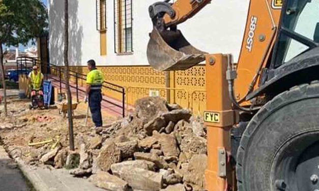 Renovación del acerado de la calle Golondrina desde calle Ave del Paraíso hasta plaza de la Noria