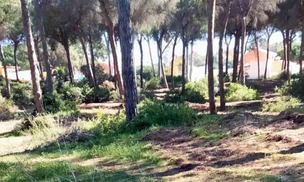 Vox El Puerto solicitará que se habiliten senderos peatonales en los Pinares de San Antón