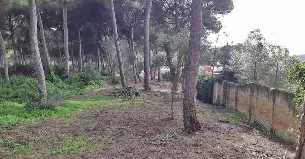 La Junta finaliza la primera fase de los trabajos de mejora en el monte Dunas de San Antón