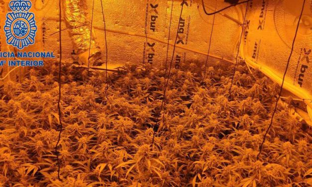 La Policía Nacional desmantela tres plantaciones "indoor" de marihuana en El Puerto y Chiclana