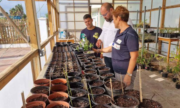 La asociación IMERIS forma a ocho alumnos con el curso "Actividades auxiliares de viveros y jardines"