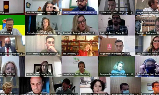 Unión Portuense quiere participación ciudadana en los plenos telemáticos