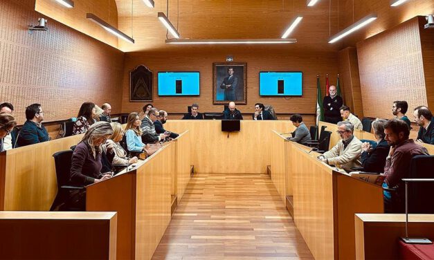 Luz verde al Plan del 92 para que San Antonio y Las Banderas - El Palomar puedan continuar su regularización