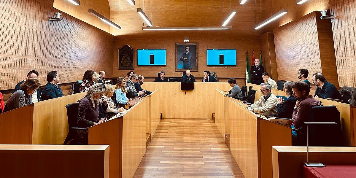 Luz verde al Plan del 92 para que San Antonio y Las Banderas - El Palomar puedan continuar su regularización