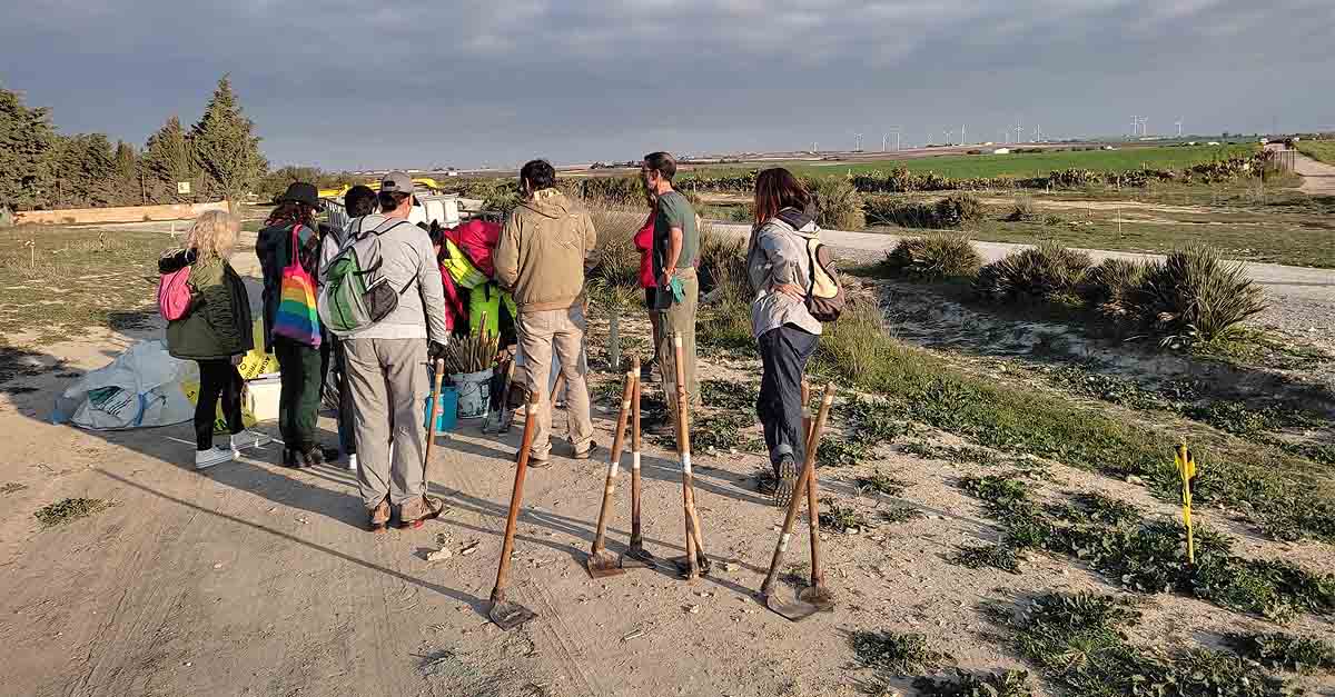 Finalizan las Jornadas de Reforestación Participativa de la “Puerta Verde de la Ruta Enoturística"