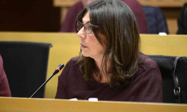 “Los problemas sociales se deben afrontar con políticas sociales, no con políticas sancionadoras”