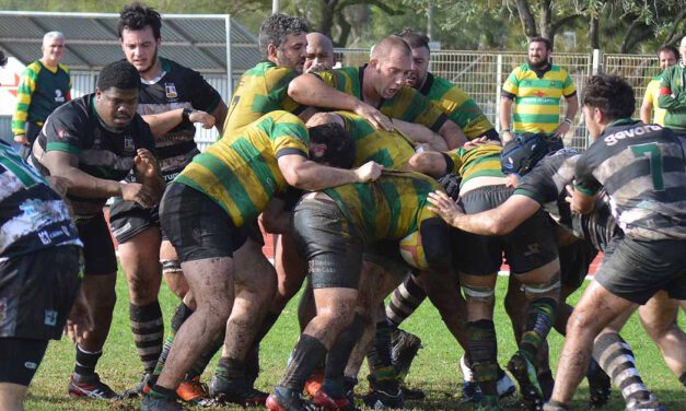 Jornada perfecta para los equipos del Club de Rugby Atlético Portuense