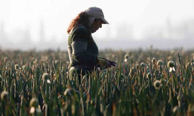 El Puerto organiza una Jornada de Visibilización de la Mujer Rural