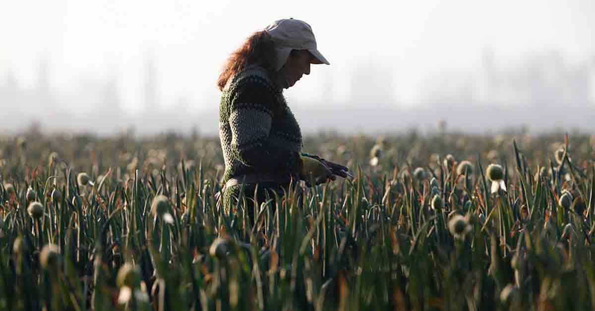 El Puerto organiza una Jornada de Visibilización de la Mujer Rural
