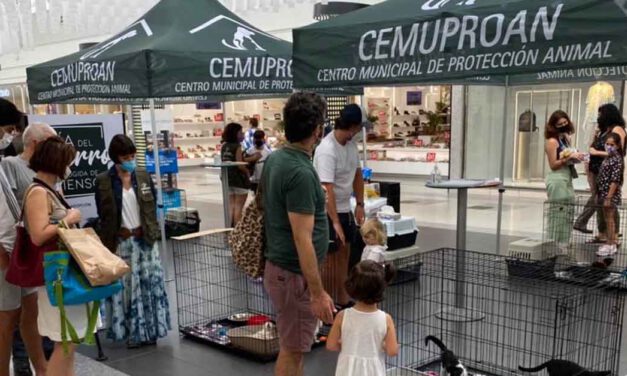 El Paseo organiza unas jornadas de adopción de mascotas con el centro municipal de protección animal