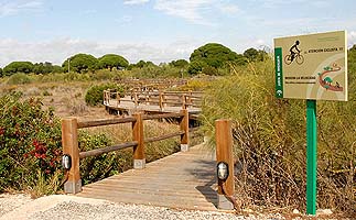 La Junta tilda de "bulo" las acusaciones de PSOE e IU sobre la privatización de Los Toruños