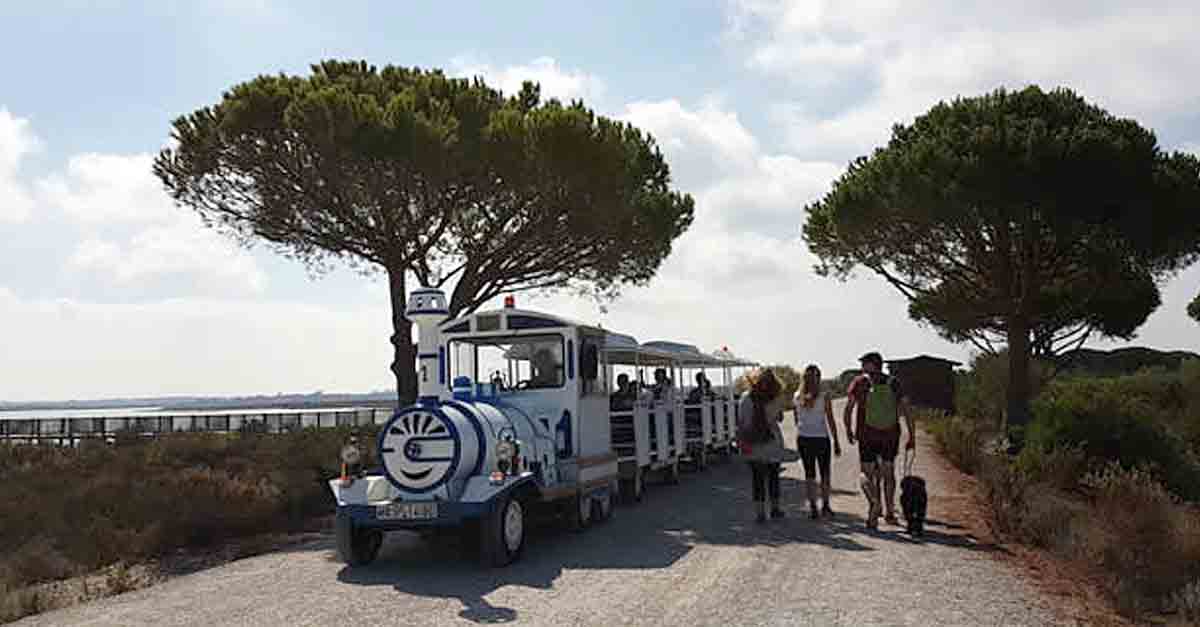 El tren de la playa de Levante volverá a prestar servicio entre el 25 de junio y el 30 de agosto