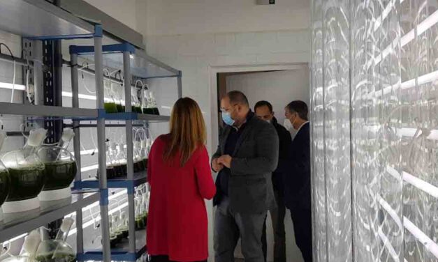 Fitoplancton Marino SL lidera mundialmente el desarrollo del cultivo de microalgas marinas