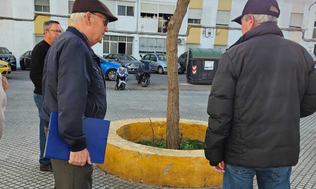 La Flave denuncia la "falta absoluta de mantenimiento" en la barriada de Las Nieves
