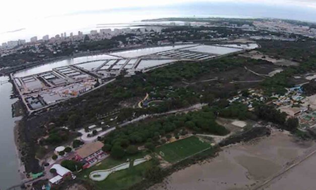 El CEAAN se suma a la solidaridad portuense organizando una jornada de puertas abiertas
