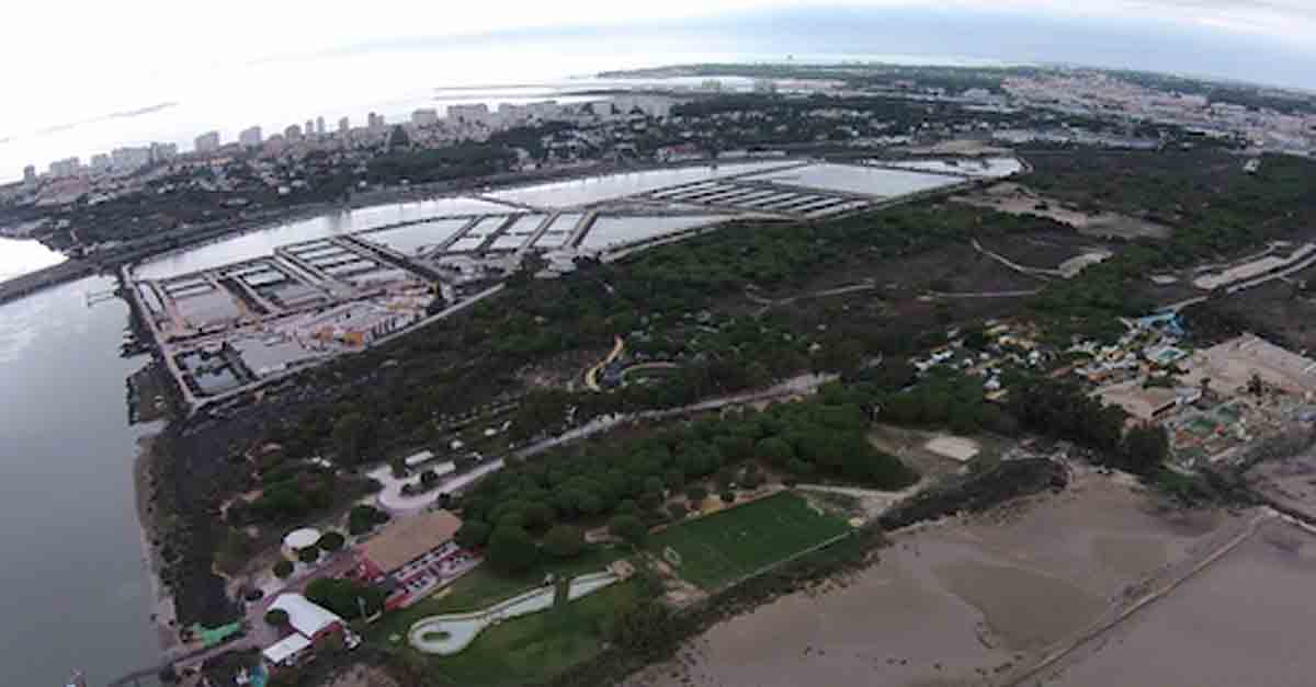 El CEAAN se suma a la solidaridad portuense organizando una jornada de puertas abiertas