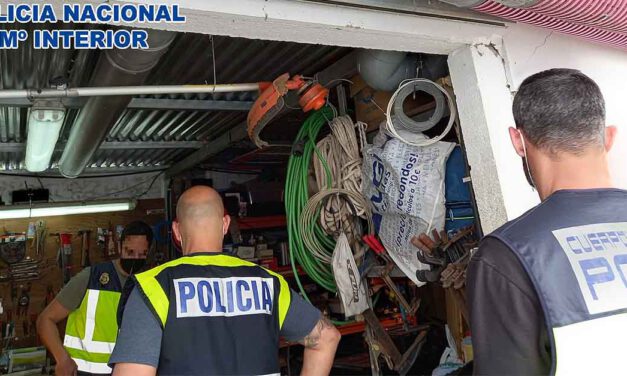 Desmanteladas dos plantaciones de marihuana en dos chalets alquilados en Vistahermosa