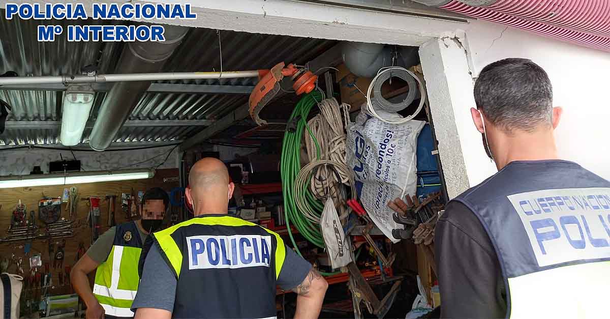 Desmanteladas dos plantaciones de marihuana en dos chalets alquilados en Vistahermosa