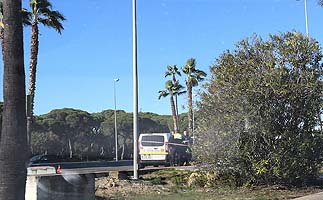 El gobierno local "lamenta profundamente" el accidente mortal