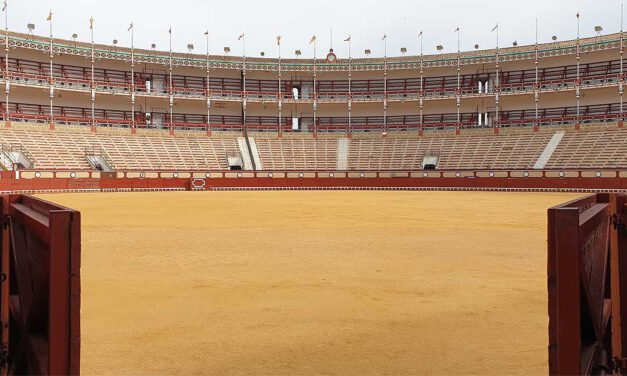 Tarde de toros