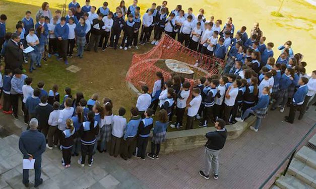 SAFA San Luis se despide de la araucaria