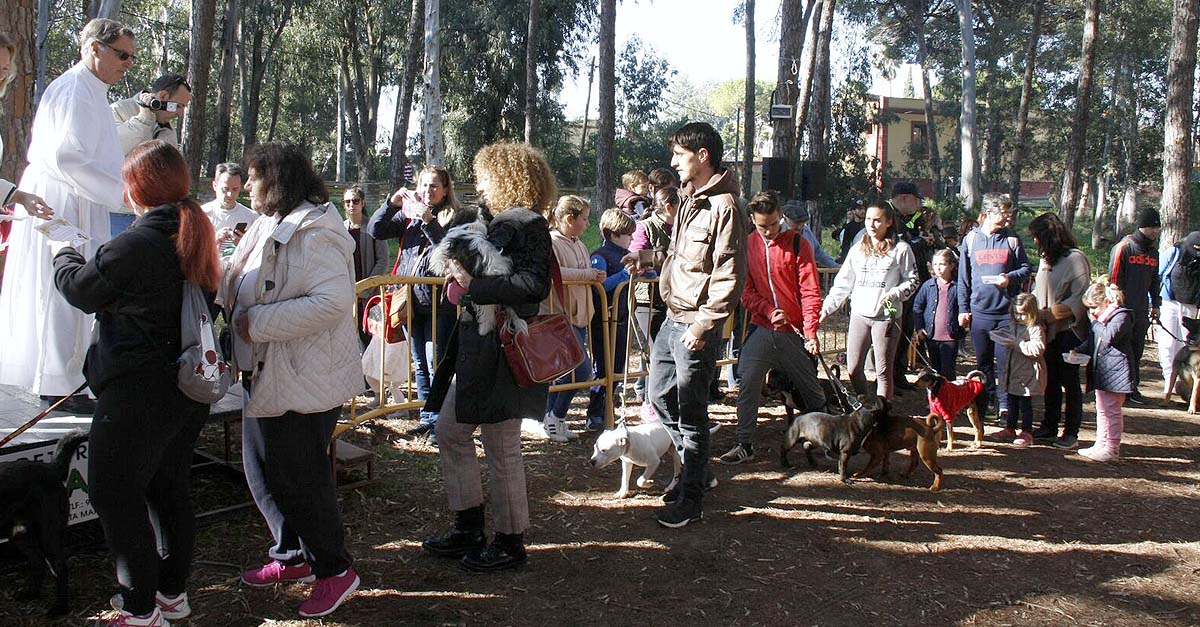 José Joaquín García-Romeu pregona este sábado la festividad de San Antón