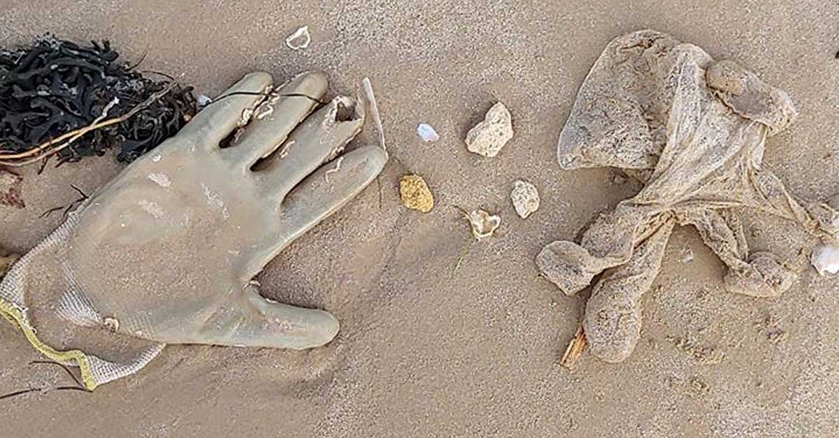 Las playas de La Puntilla y Valdelagrana amanecen con multitud de guantes