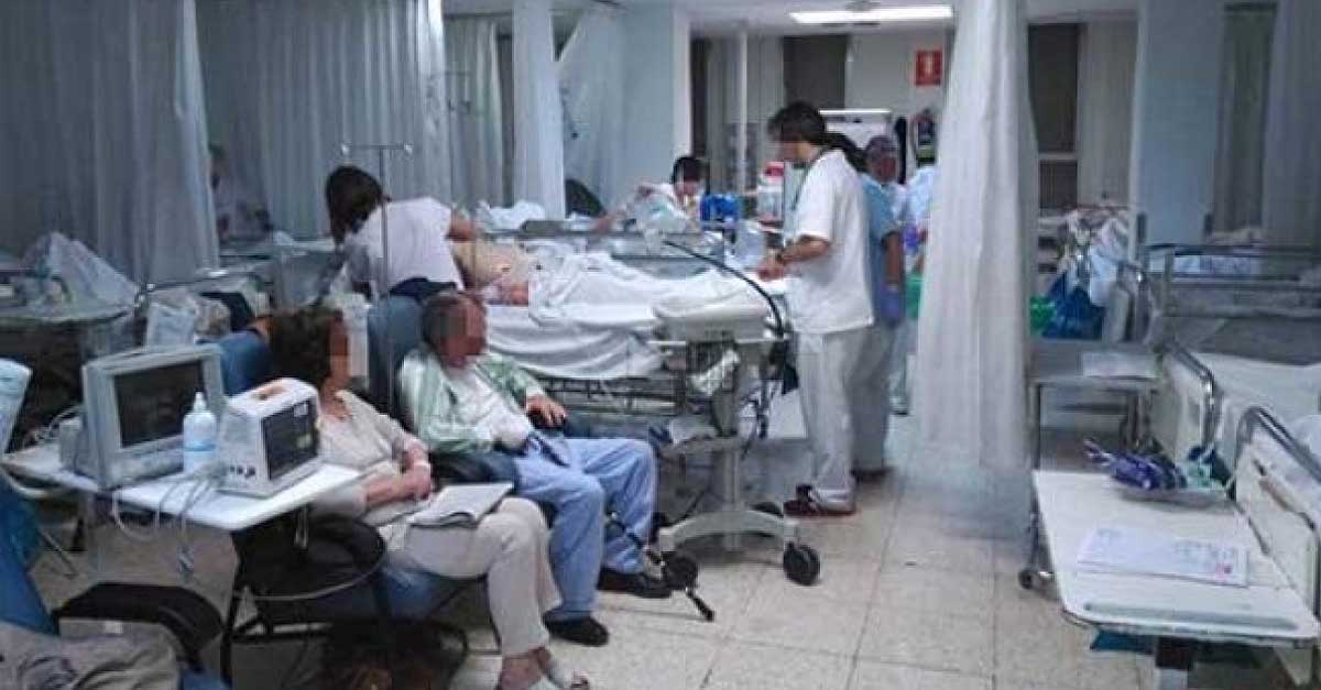 Andalucía: 5 brotes controlados o en investigación con 137 casos