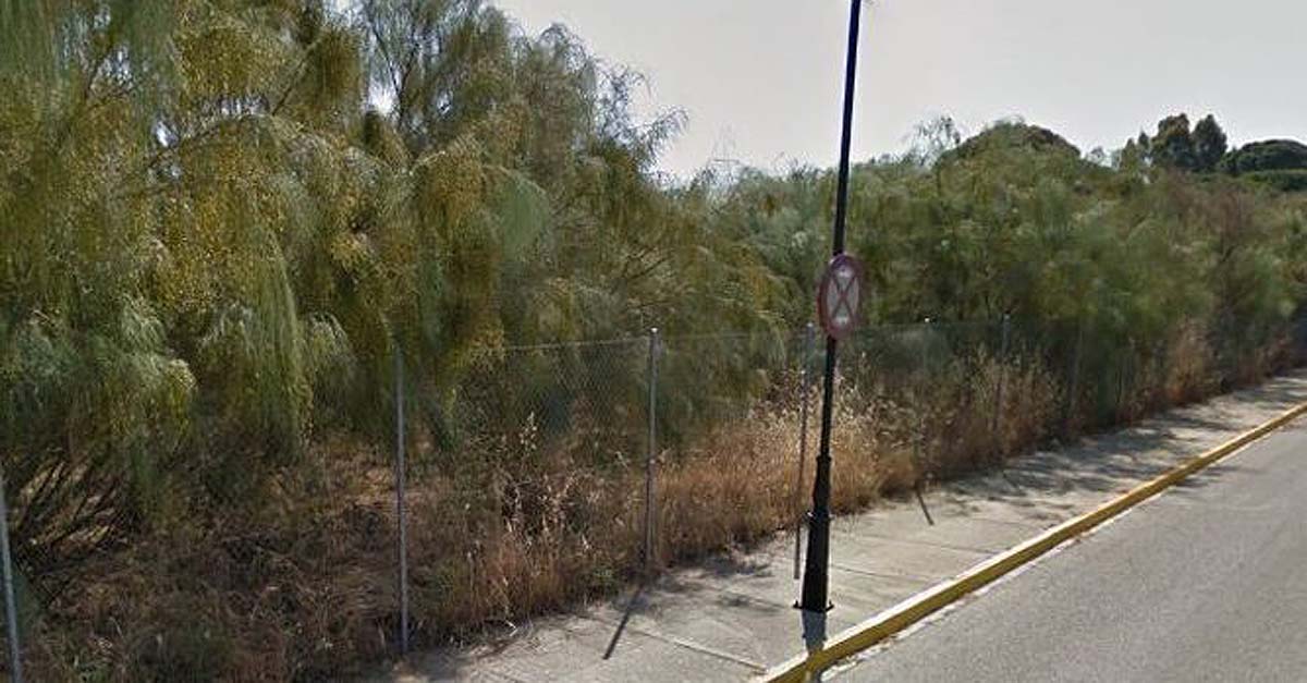 Ecologistas en Acción solicita paralizar las obras del campo de fútbol en El Águila