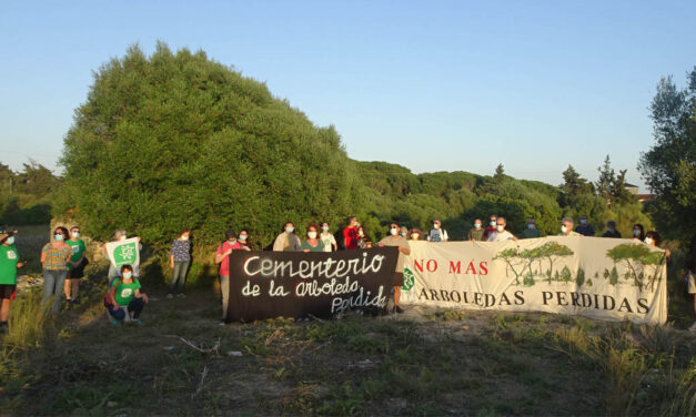 "La aprobación de planes urbanísticos sin respetar normas legales crea inseguridad jurídica"