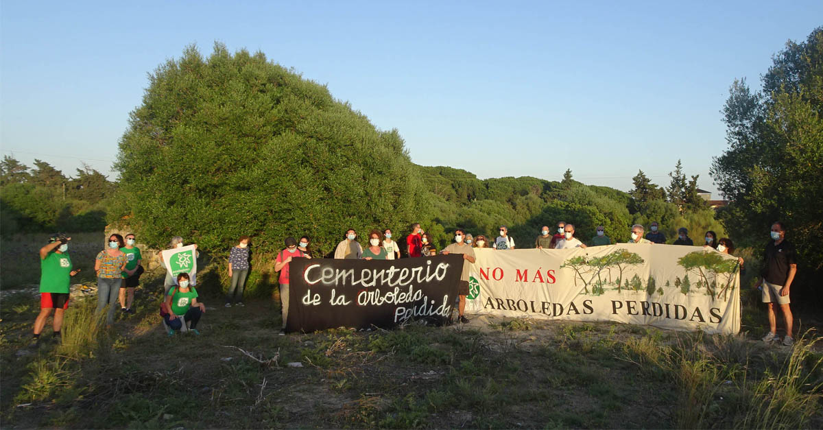 "La aprobación de planes urbanísticos sin respetar normas legales crea inseguridad jurídica"