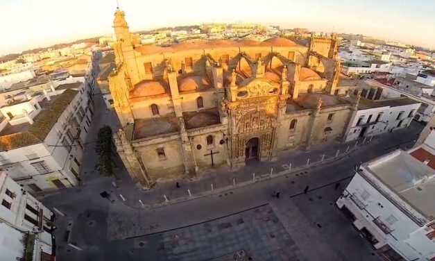 Cigüeñas