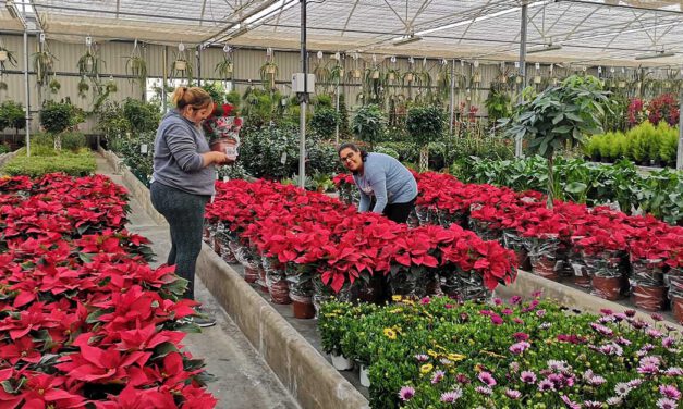 Afanas reinicia el programa de reinserción laboral 'Contamos contigo'