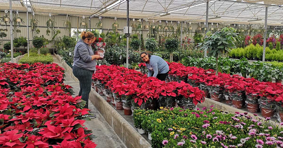 Afanas reinicia el programa de reinserción laboral 'Contamos contigo'