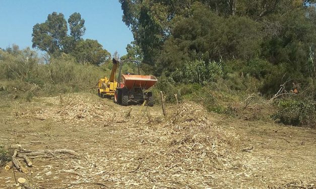Sobre el campo de fútbol de El Águila