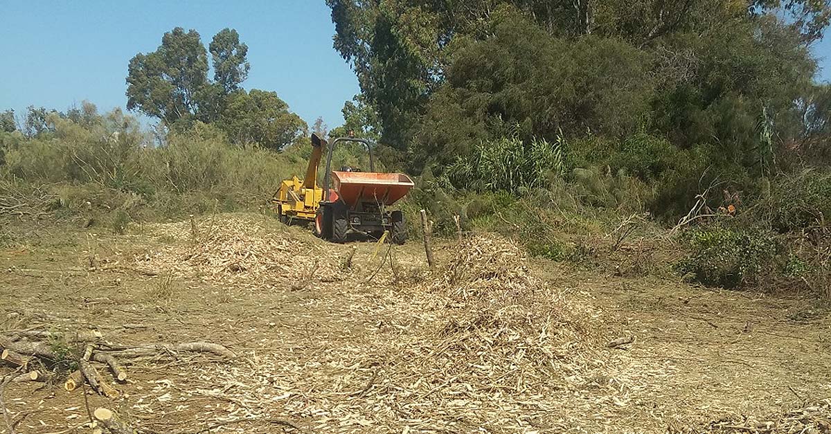Sobre el campo de fútbol de El Águila