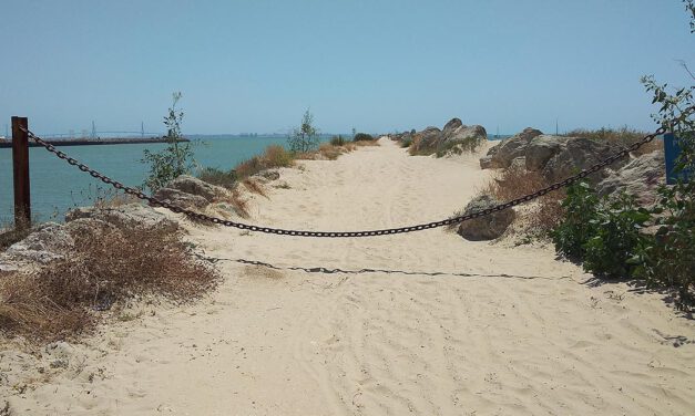 "Los locos de espigón" llevan a cabo una nueva limpieza del espigón de La Puntilla