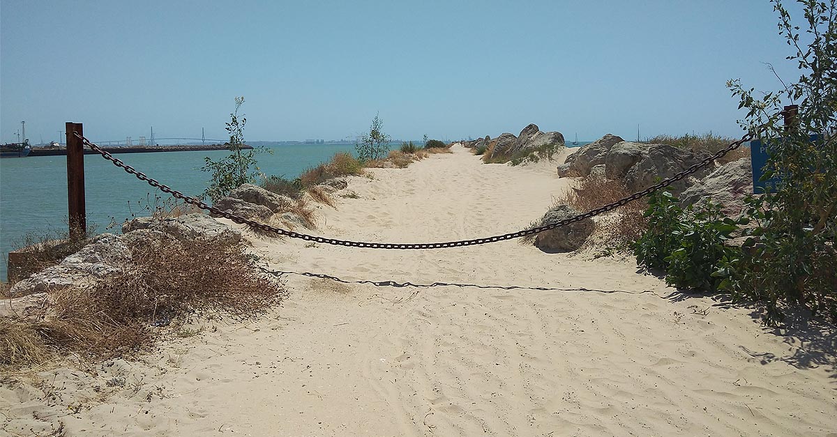 "Los locos de espigón" llevan a cabo una nueva limpieza del espigón de La Puntilla