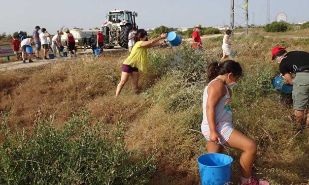 Ecologistas organiza una jornada de riego de la repoblación en la salina San José