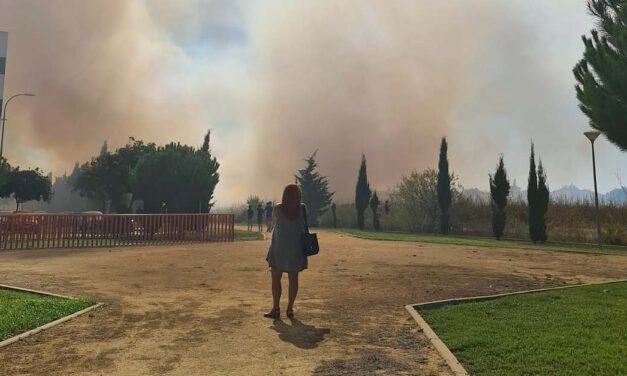 Bomberos extinguen un incendio en la zona de El Juncal