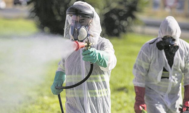 Detectado un caso de virus del Nilo en un caballo en El Puerto