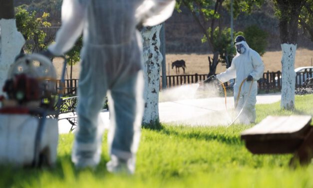 Puerto Real y La Janda, zonas de riesgo por la fiebre del Nilo