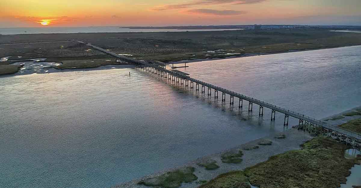Entidades ecologistas y sociales convocan una concentración contra la privatización de Los Toruños